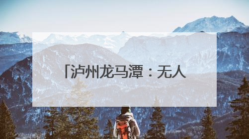 泸州龙马潭：无人机田间“飞防” 科技助农保丰收