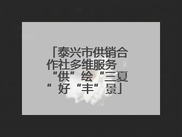 泰兴市供销合作社多维服务 “供”绘“三夏”好“丰”景