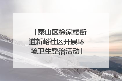 泰山区徐家楼街道新峪社区开展环境卫生整治活动