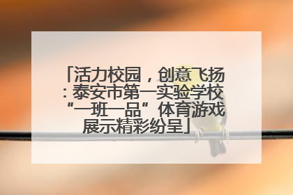 活力校园，创意飞扬：泰安市第一实验学校“一班一品”体育游戏展示精彩纷呈