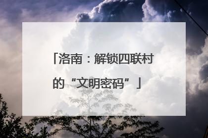 洛南：解锁四联村的“文明密码”