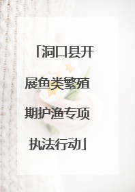 洞口县开展鱼类繁殖期护渔专项执法行动