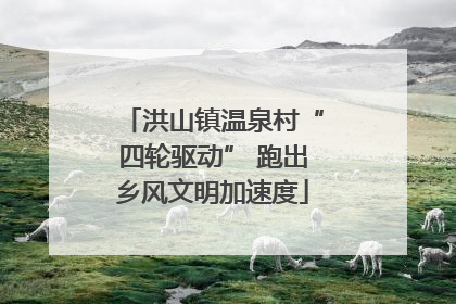洪山镇温泉村“四轮驱动” 跑出乡风文明加速度