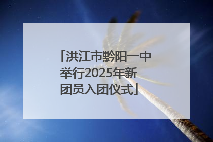 洪江市黔阳一中举行2025年新团员入团仪式