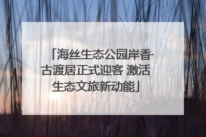 海丝生态公园岸香·古渡居正式迎客 激活生态文旅新动能