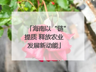 海南以“链”提质 释放农业发展新动能