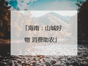 海南：山城好物 消费助农