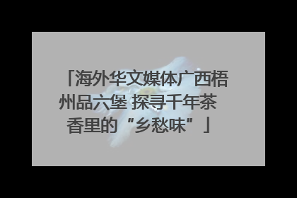 海外华文媒体广西梧州品六堡 探寻千年茶香里的“乡愁味”