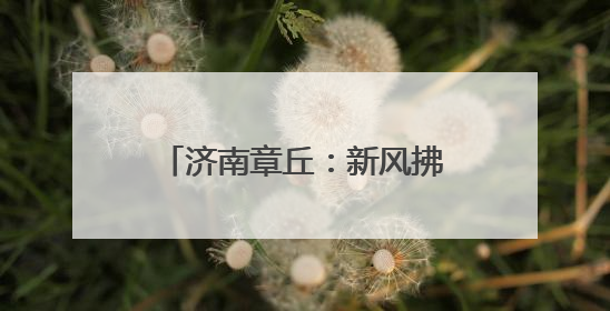 济南章丘：新风拂沃野 乡村展画卷
