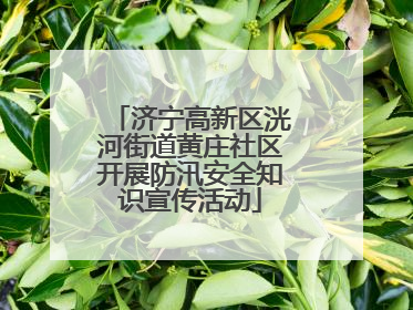 济宁高新区洸河街道黄庄社区开展防汛安全知识宣传活动