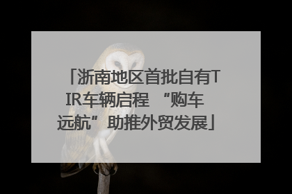 浙南地区首批自有TIR车辆启程 “购车远航”助推外贸发展