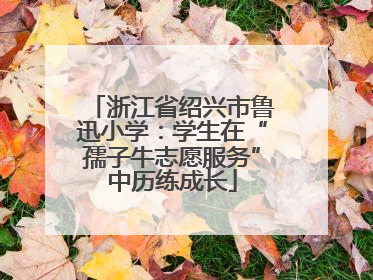 浙江省绍兴市鲁迅小学：学生在“孺子牛志愿服务”中历练成长