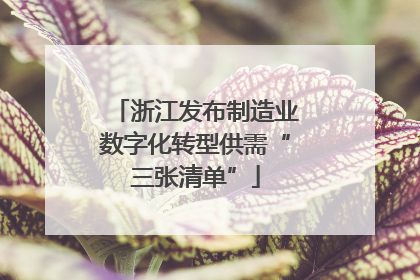 浙江发布制造业数字化转型供需“三张清单”