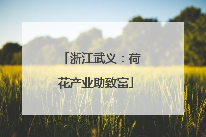 浙江武义：荷花产业助致富