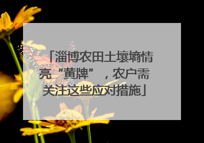 淄博农田土壤墒情亮“黄牌”，农户需关注这些应对措施