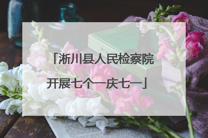 淅川县人民检察院开展七个一庆七一