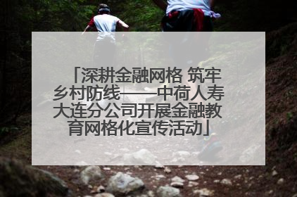 深耕金融网格 筑牢乡村防线——中荷人寿大连分公司开展金融教育网格化宣传活动