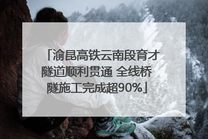 渝昆高铁云南段育才隧道顺利贯通 全线桥隧施工完成超90%