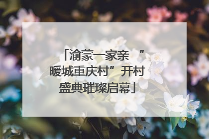 渝蒙一家亲 “暖城重庆村”开村盛典璀璨启幕