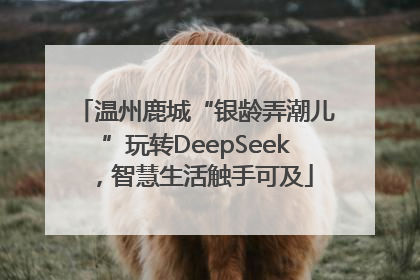 温州鹿城“银龄弄潮儿”玩转DeepSeek，智慧生活触手可及