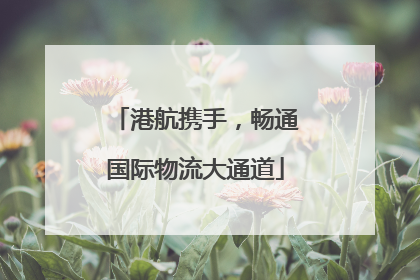 港航携手，畅通国际物流大通道