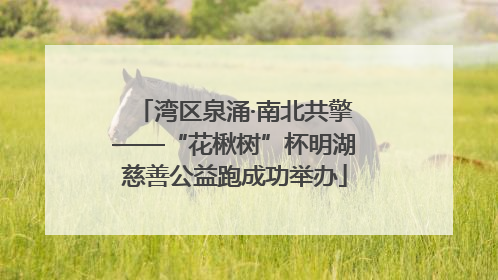 湾区泉涌·南北共擎——“花楸树”杯明湖慈善公益跑成功举办