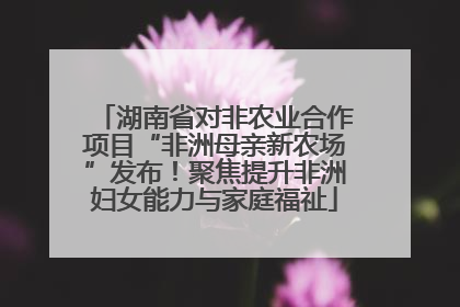 湖南省对非农业合作项目“非洲母亲新农场”发布！聚焦提升非洲妇女能力与家庭福祉