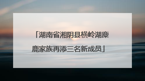 湖南省湘阴县横岭湖麋鹿家族再添三名新成员
