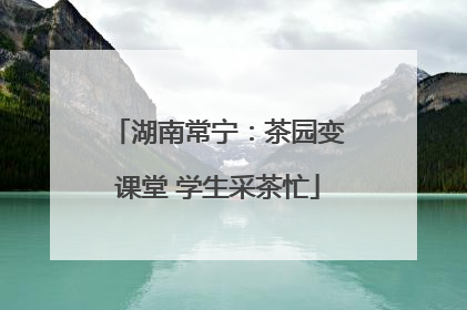湖南常宁：茶园变课堂 学生采茶忙