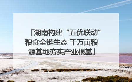 湖南构建“五优联动”粮食全链生态 千万亩粮源基地夯实产业根基