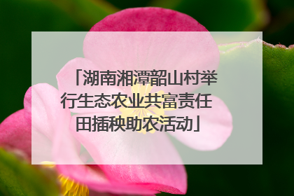 湖南湘潭韶山村举行生态农业共富责任田插秧助农活动