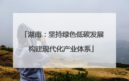 湖南：坚持绿色低碳发展 构建现代化产业体系