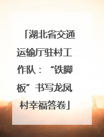 湖北省交通运输厅驻村工作队：“铁脚板”书写龙凤村幸福答卷