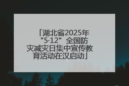 湖北省2025年“5·12”全国防灾减灾日集中宣传教育活动在汉启动