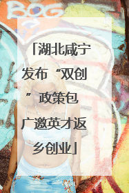 湖北咸宁发布“双创”政策包 广邀英才返乡创业