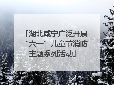 湖北咸宁广泛开展“六一”儿童节消防主题系列活动