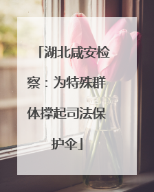 湖北咸安检察：为特殊群体撑起司法保护伞