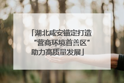 湖北咸安锚定打造“营商环境首善区”助力高质量发展