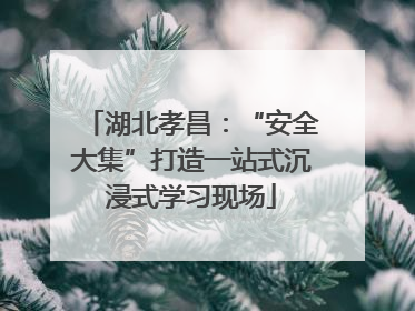 湖北孝昌：“安全大集”打造一站式沉浸式学习现场