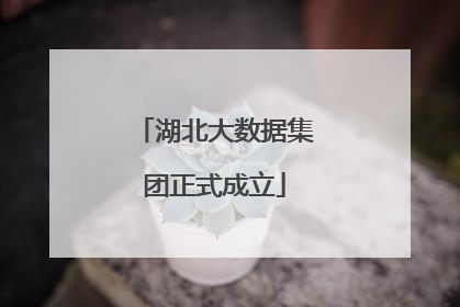 湖北大数据集团正式成立