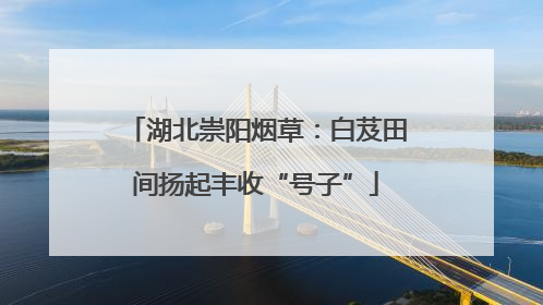 湖北崇阳烟草：白芨田间扬起丰收“号子”