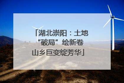 湖北崇阳：土地“破局”绘新卷 山乡巨变绽芳华