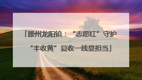 滕州龙阳镇：“志愿红”守护“丰收黄”夏收一线显担当