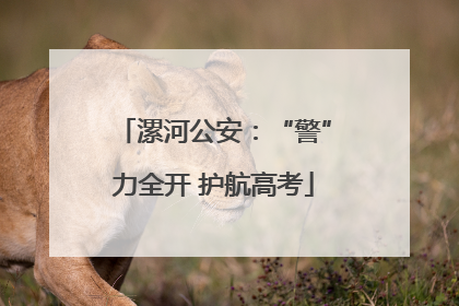 漯河公安：“警”力全开 护航高考