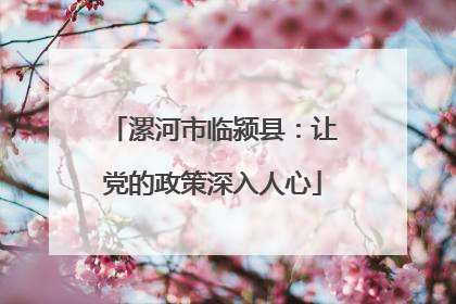 漯河市临颍县：让党的政策深入人心