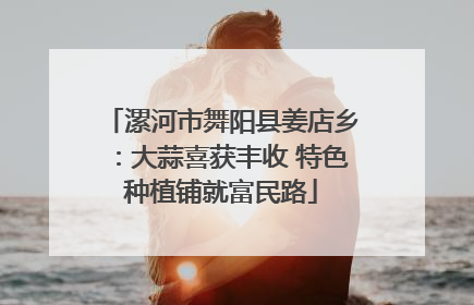 漯河市舞阳县姜店乡：大蒜喜获丰收 特色种植铺就富民路