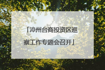 漳州台商投资区巡察工作专题会召开