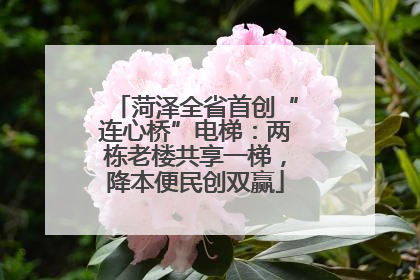 菏泽全省首创“连心桥”电梯：两栋老楼共享一梯，降本便民创双赢