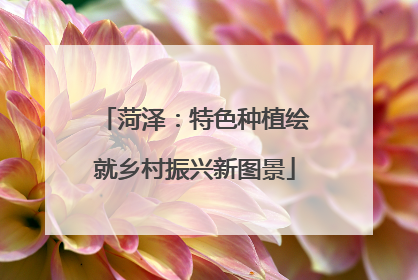 菏泽：特色种植绘就乡村振兴新图景