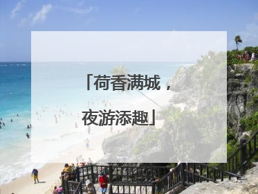 荷香满城，夜游添趣